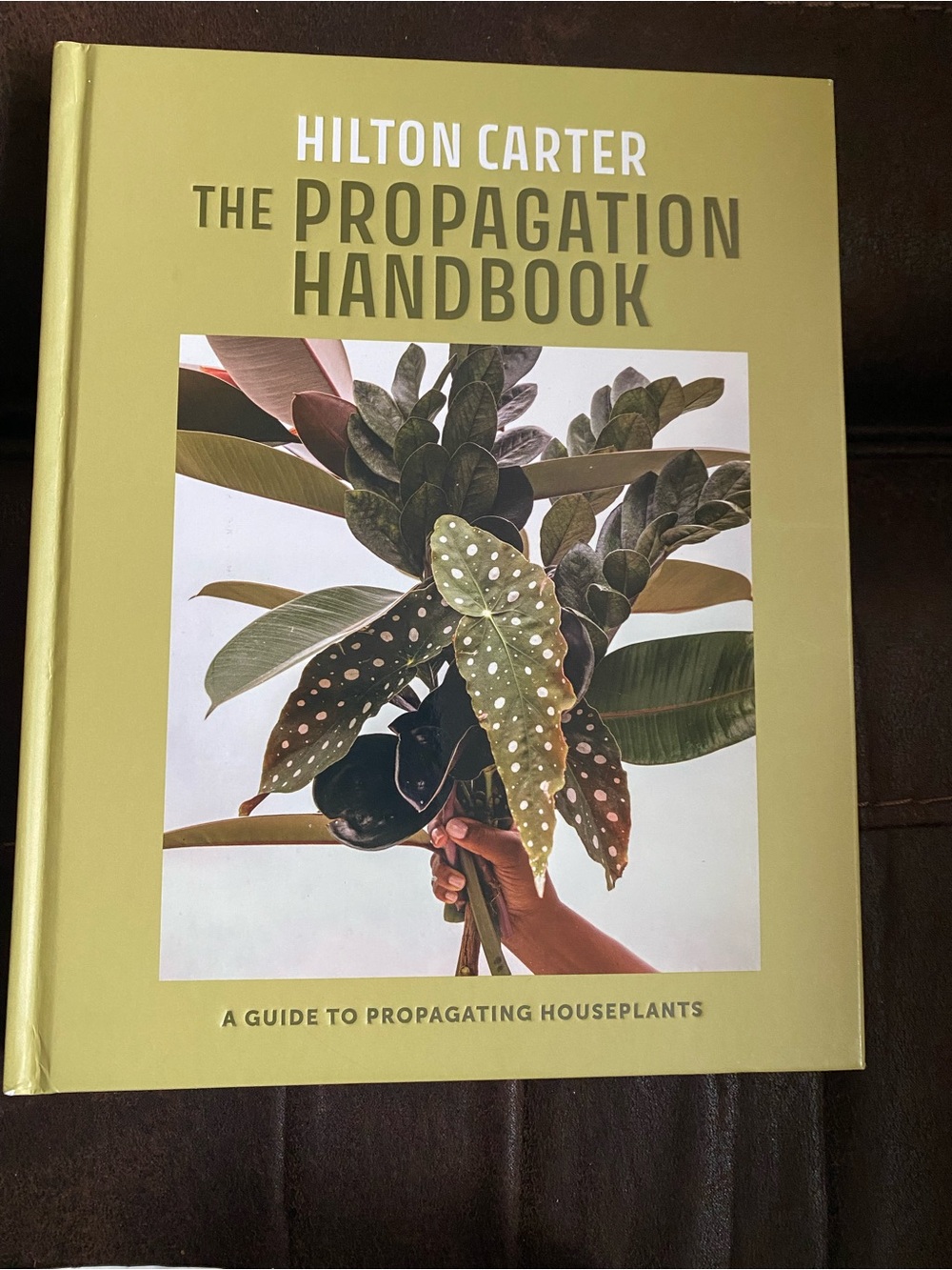 Propagation Handbook : A Guide to Propagating Houseplants by Hilton Carter